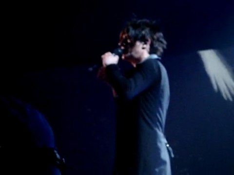 Concert Indochine Limoges 07/11/2009