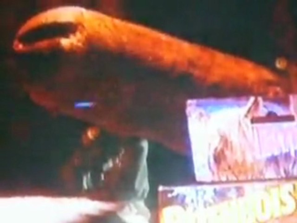 Elli Medeiros vue par Rock et Belles oreilles