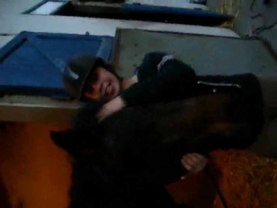Kardoutchy