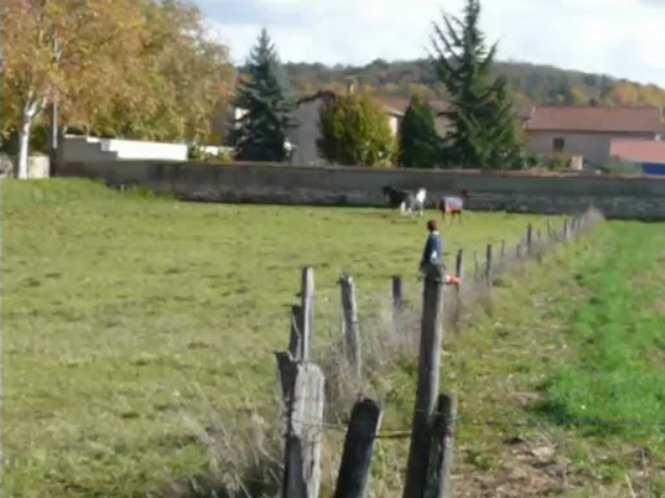 Manix, Nunu, Inesse 2