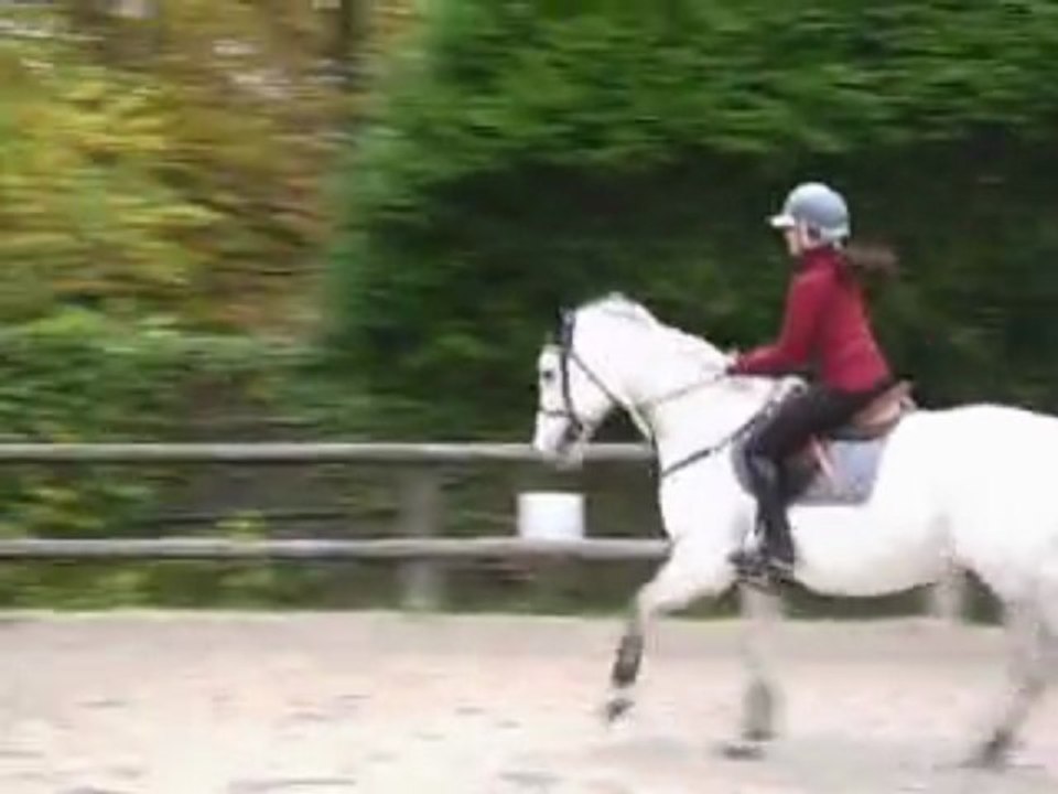 Entrainement CSO II