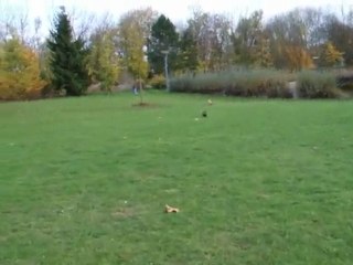 8 novembre 2009 Eden et Chloé jouent