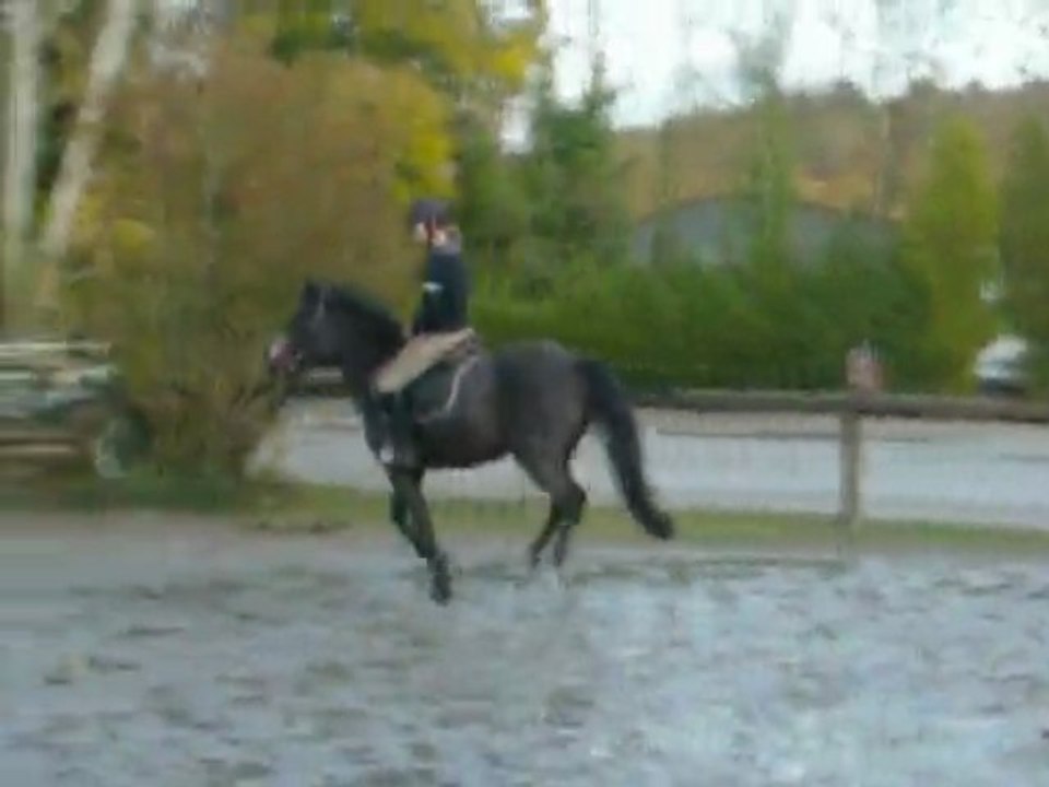 Changement de pied