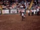 Spectacle de rodeo Stockyards - Rodéo de bambins sur mouton!