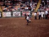 Spectacle de rodeo Stockyards - Rodéo de bambins sur mouton!