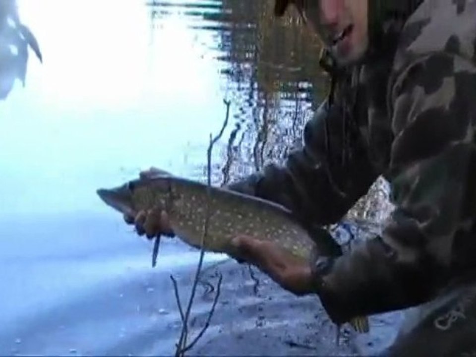 remise à l'eau bec 75