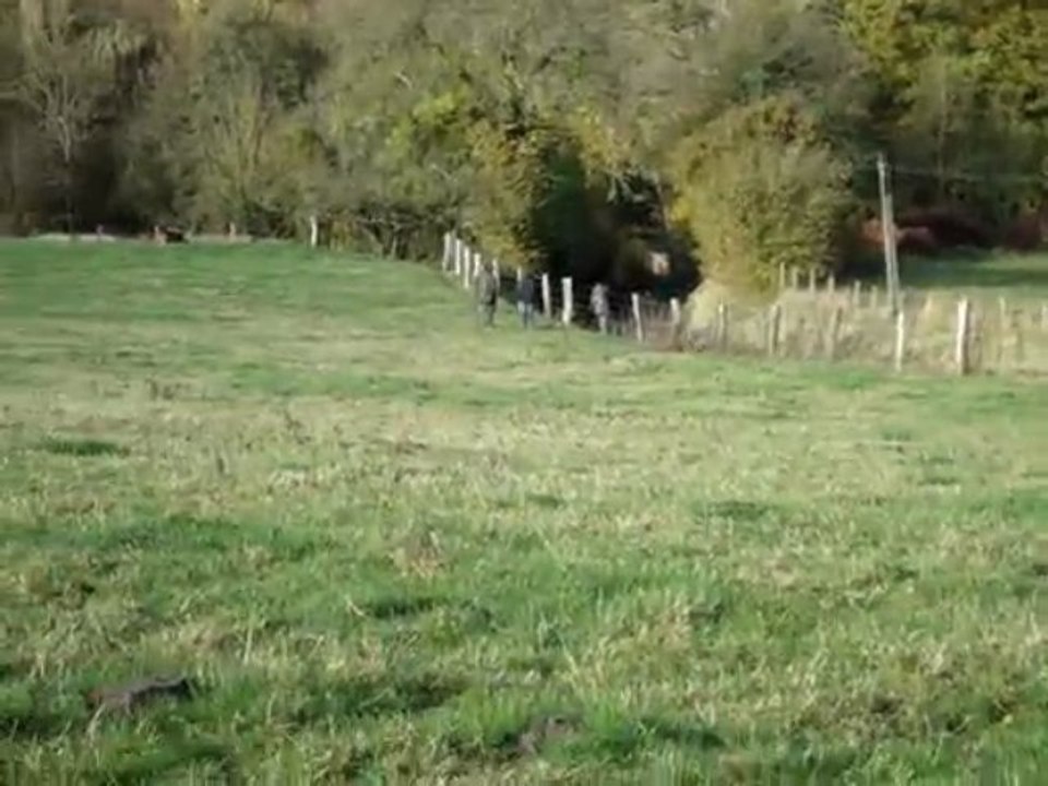 Beuzeville 2009 ES1 Saxo