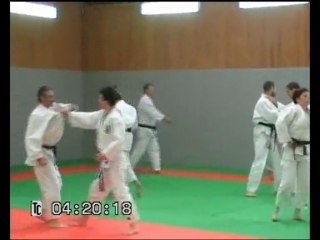 Sport en famille (katas et self défense)