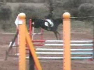 Saint-Lunaire Macha Fly