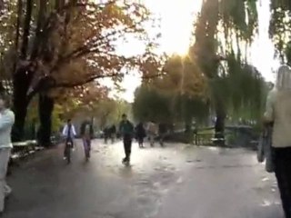 Herastrau Park - November 2009,cd2