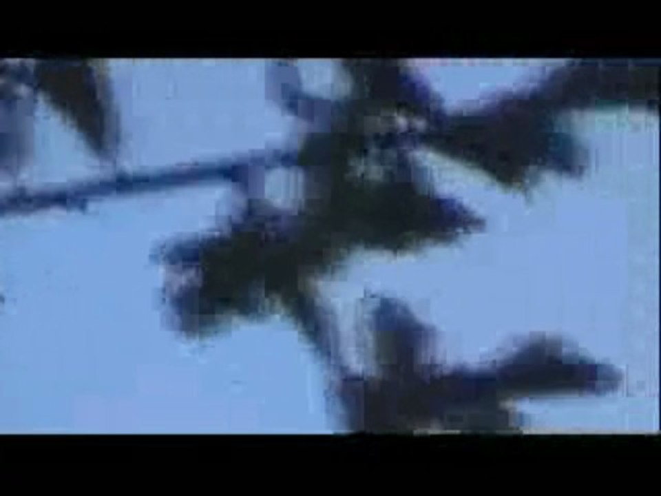 UFO - OVNI -2003