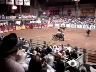Spectacle de Rodéo à Stockyards