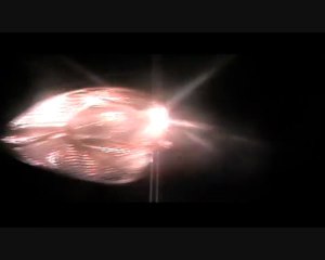 Les Films d'horreur - The Branques