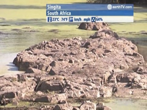 Melbourne - Australia, Macau SAR - China, Seattle - USA, Palma de Mallorca - Spain, Singita - South Africa, Ekaterinburg - Russia, Avignon - France