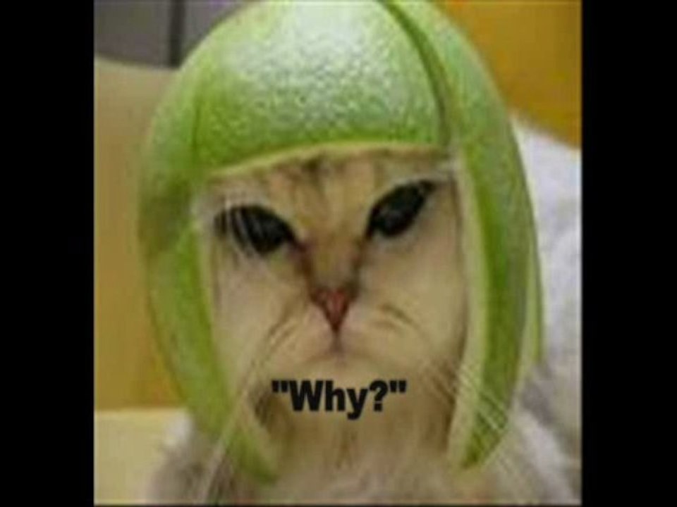 Grow Your Downline In Any MLM/Network Marketing biz Part 1