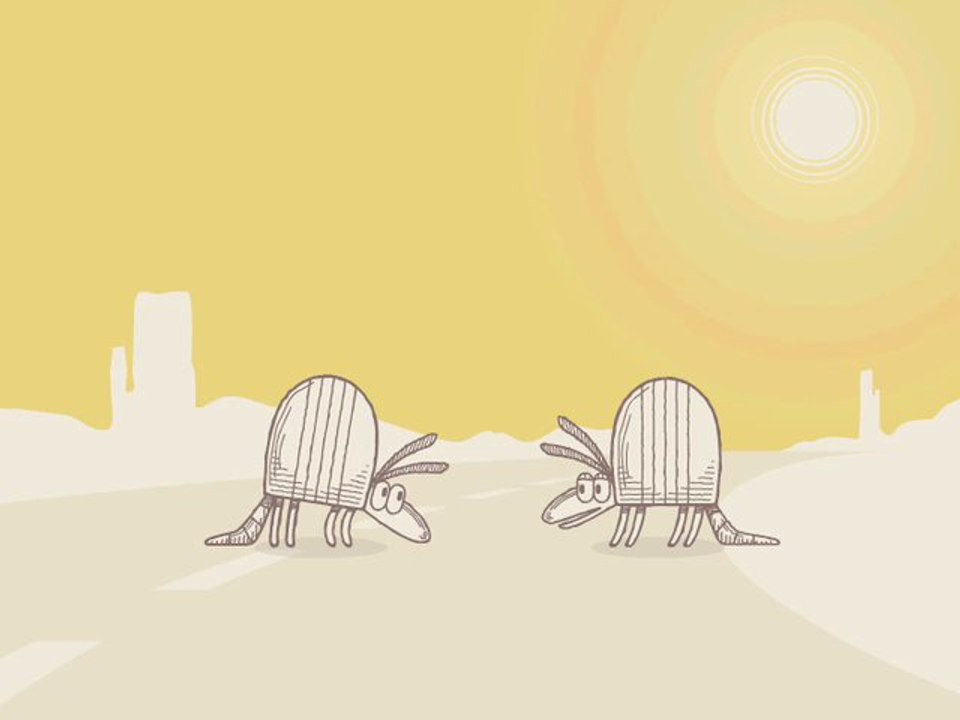 Nature Break - Armadillos #06