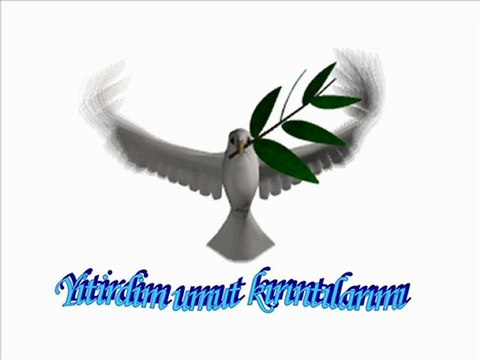 sezen aksu sen ağlama