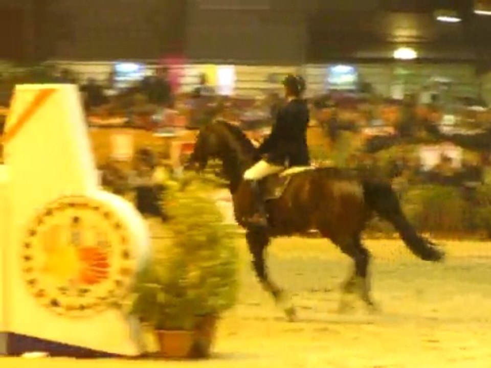 Puissance Pontivy 2009 (8)