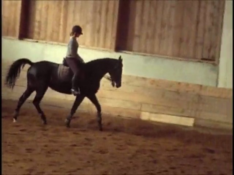 Kim dressage 08 novembre 2009