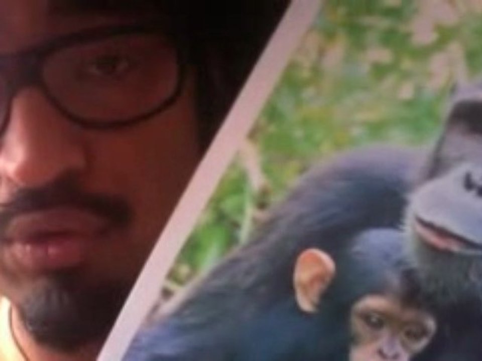 ADN : sauvons les singes