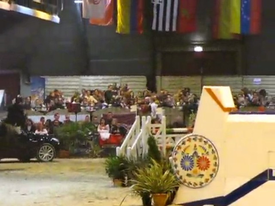 Puissance Pontivy 2009 (15)