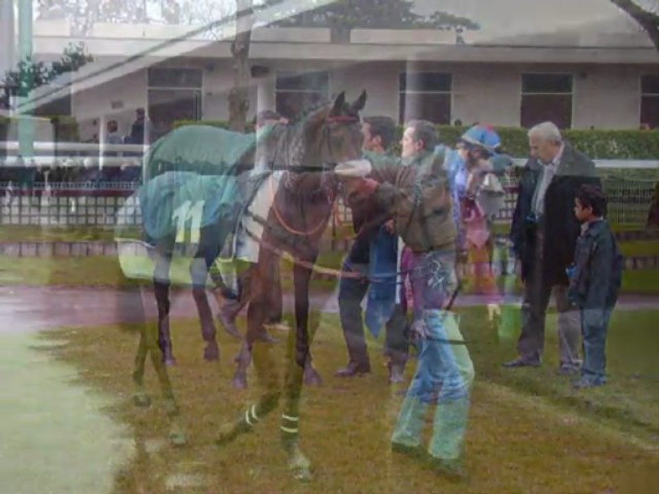 AUTEUIL 2006-2007