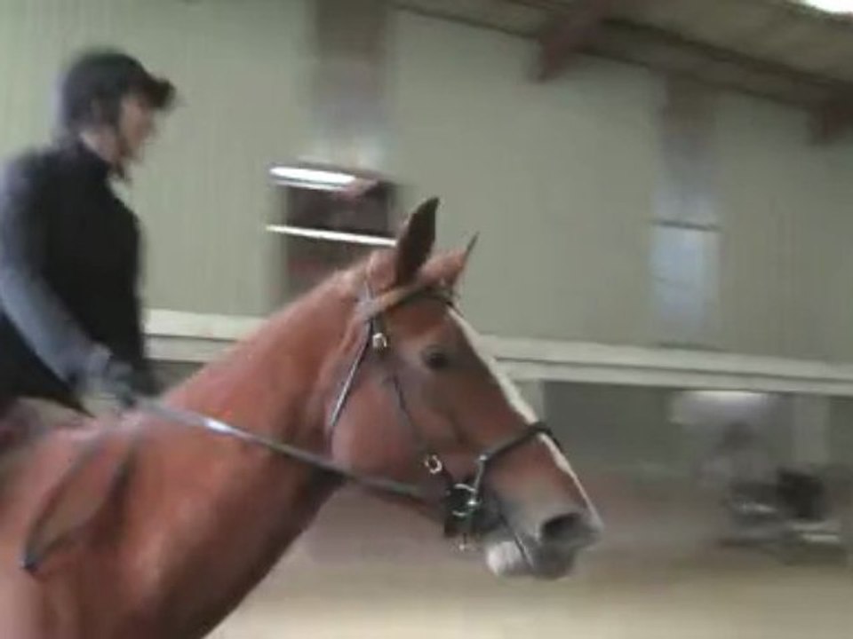 Aurélia et Nomade 8 novembre 2009