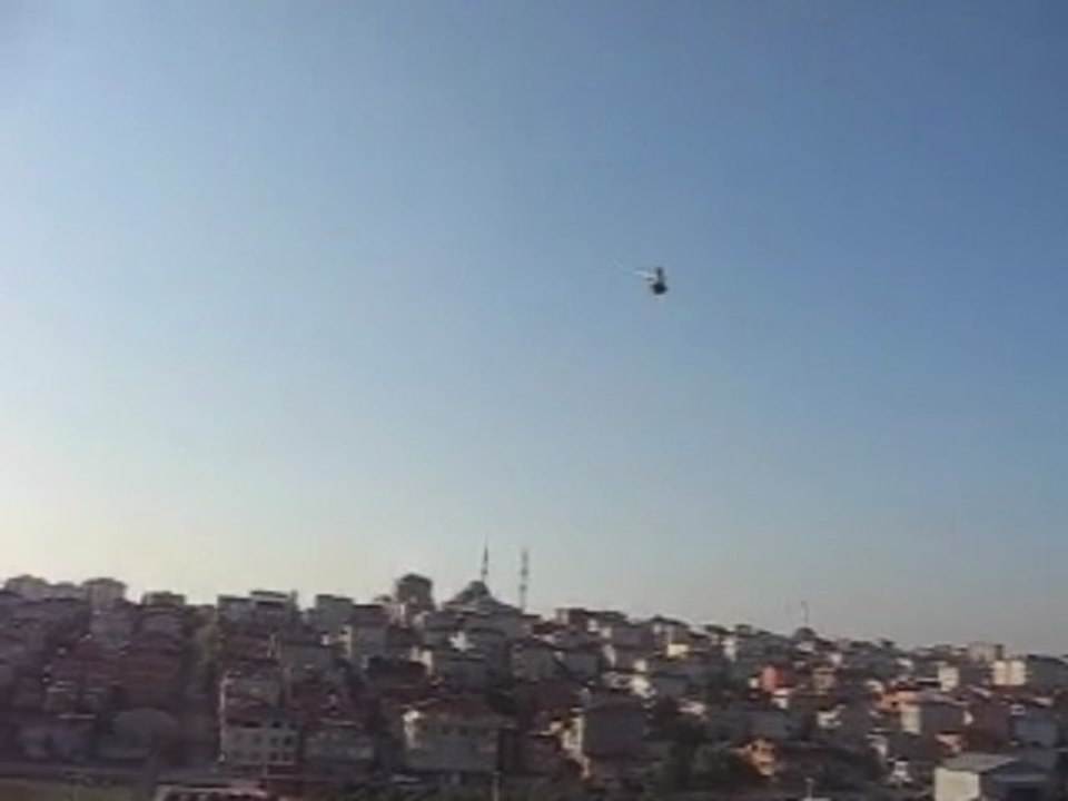 Dişi Mavi (Eke kuş)