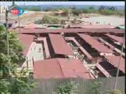 Yedikule Hayvan Barınağı-Meral Olcay