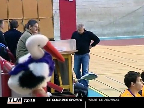 Handball D2 : Villeurbanne - Sélestat (30 à 26)