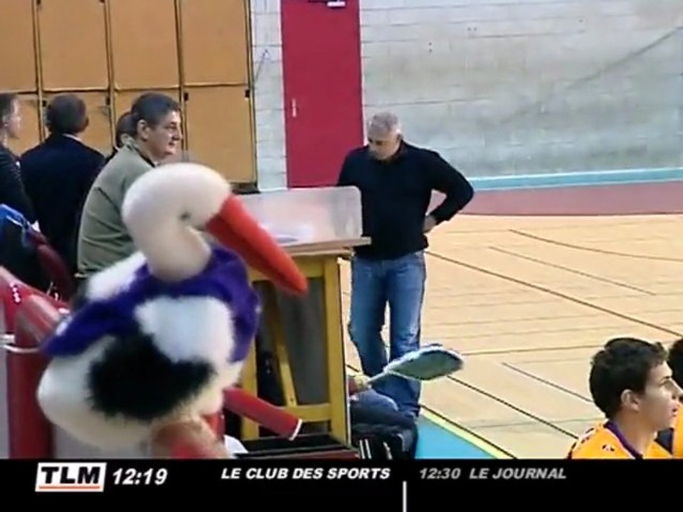 Handball D2 : Villeurbanne - Sélestat (30 à 26)