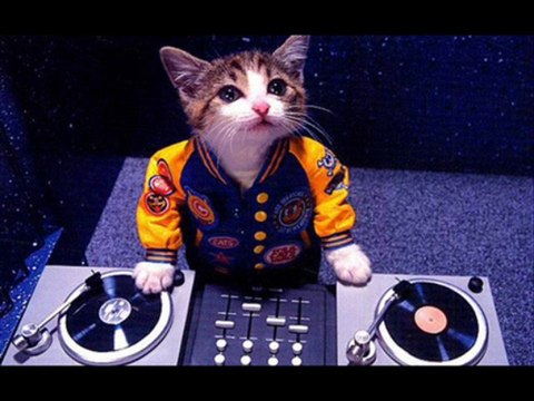 Bob sinclar - new new new ( avicii remix )