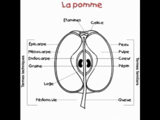 La Terre Creuse Reflexion