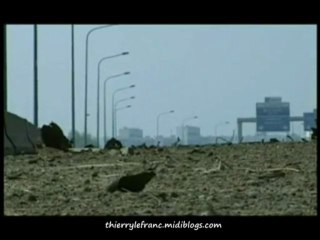 AZF TOULOUSE - Témoignages