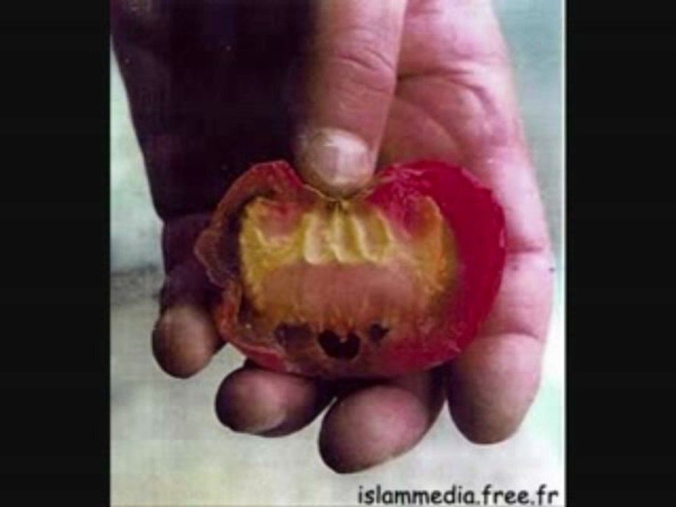 LES MIRACLES D'ALLAH