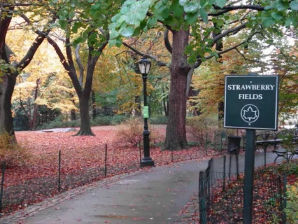 New York City Trip (Part II) + Washington DC