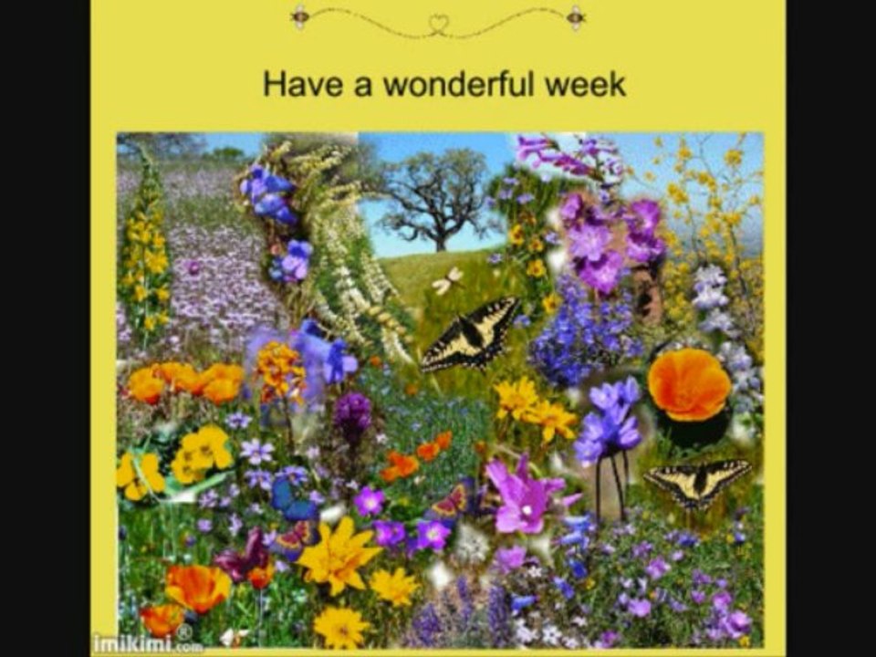 Le temps d une balade