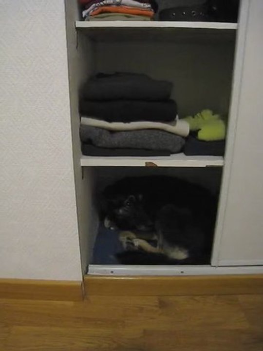 Le monstre du placard