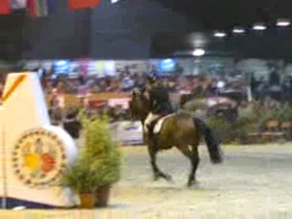 Puissance Pontivy 2009 (16)