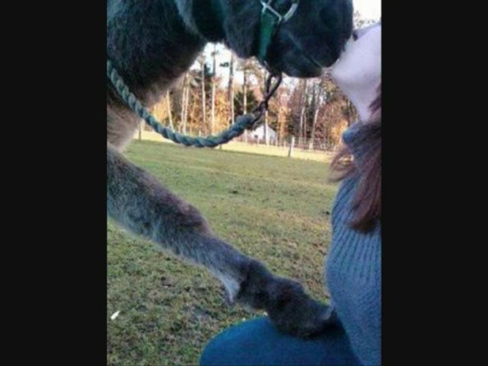 MOn petit Ane de mon coeur