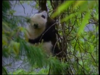 МИР НА ГРАНИ..