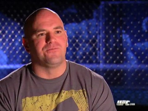 UFC 105: Couture vs. Vera Preview