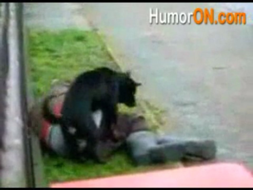 chien s'amuse avec Régis