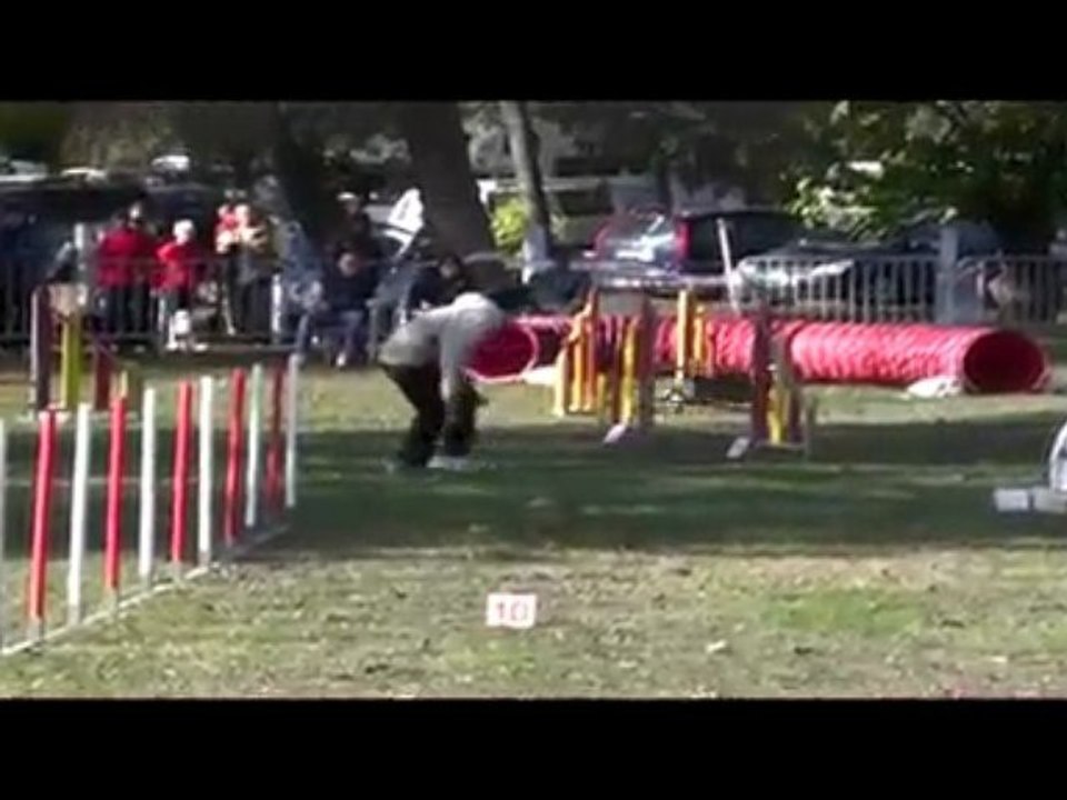 Boom Degré Agility Rochemaure 08/11/2009