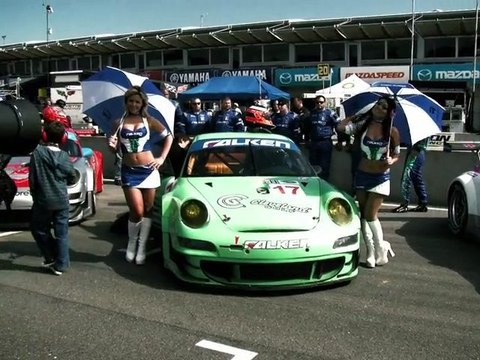 Team Falken Tire takes 8th Place at 2009 ALMS Finale, Laguna
