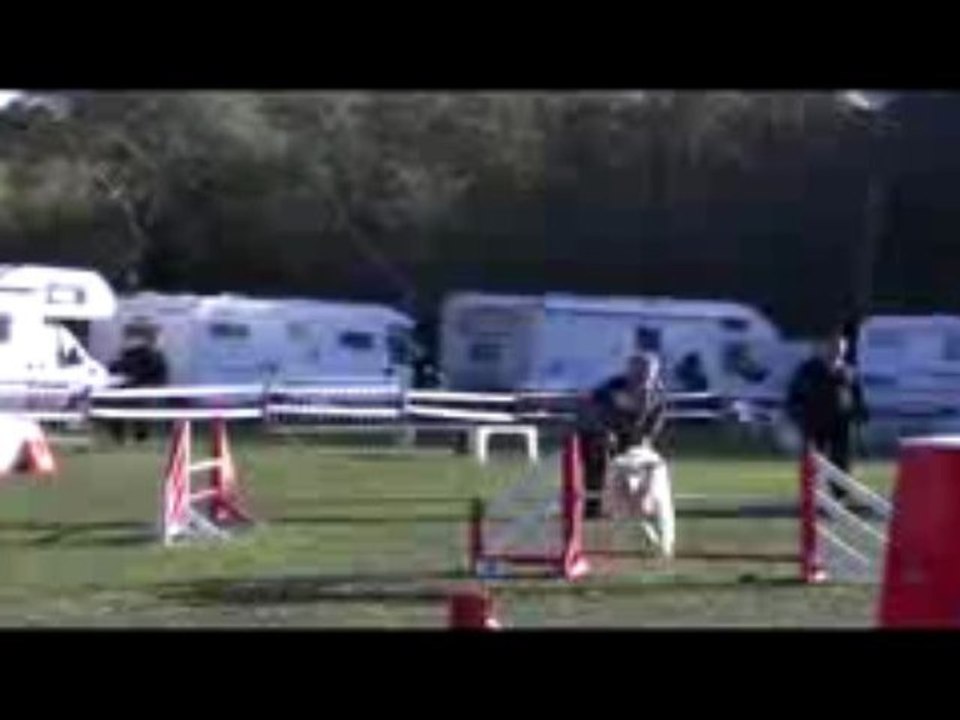 Salsa Open Agility Rochemaure 08/11/2009