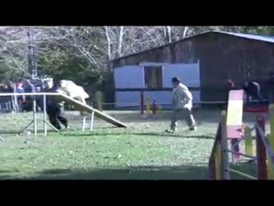 Salsa GPF Agility Rochemaure 08/11/2009