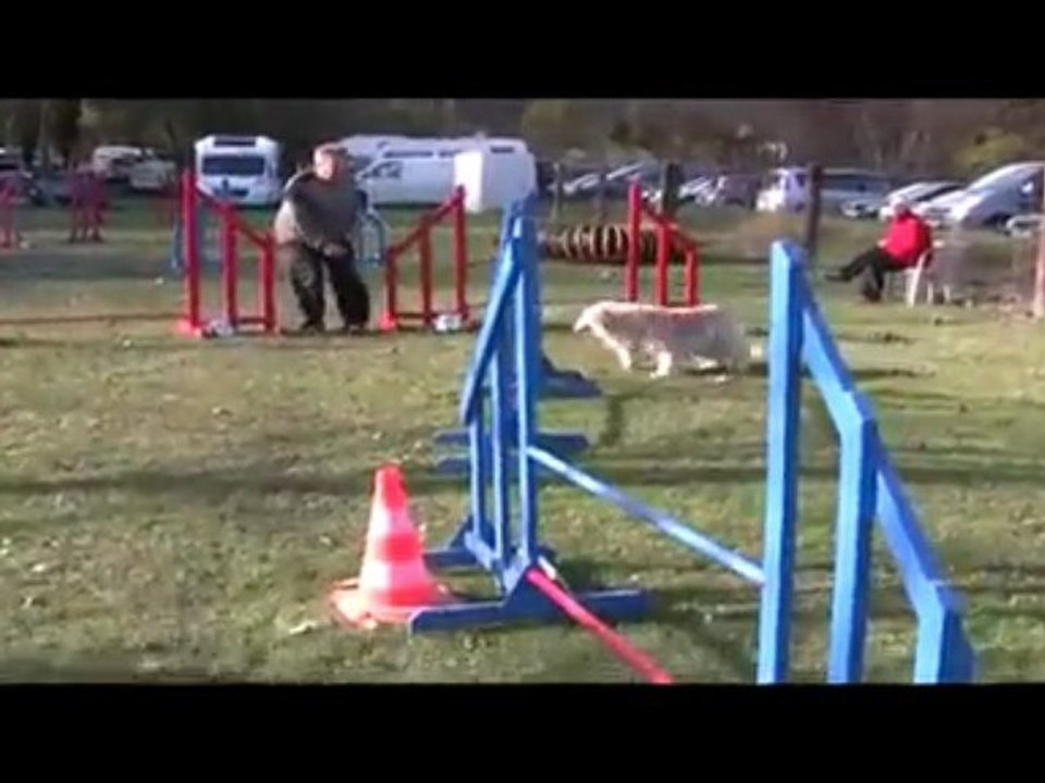 Salsa Jumping Agility Rochemaure 08/11/2009