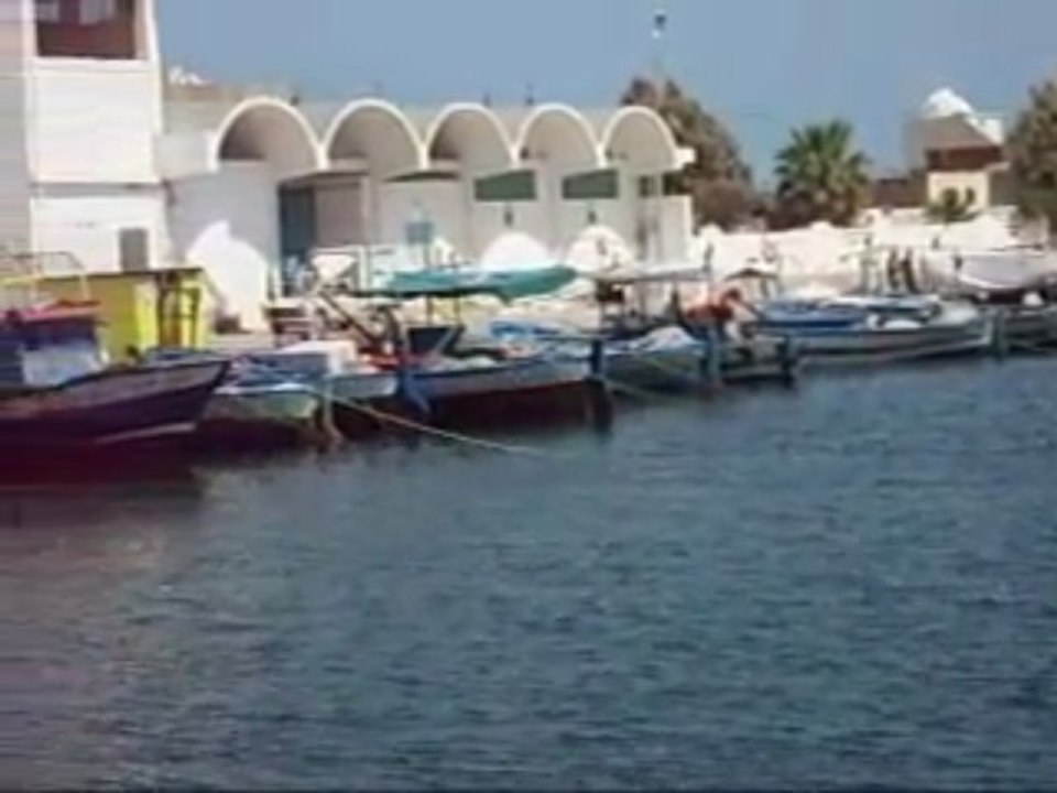 Port de salakta