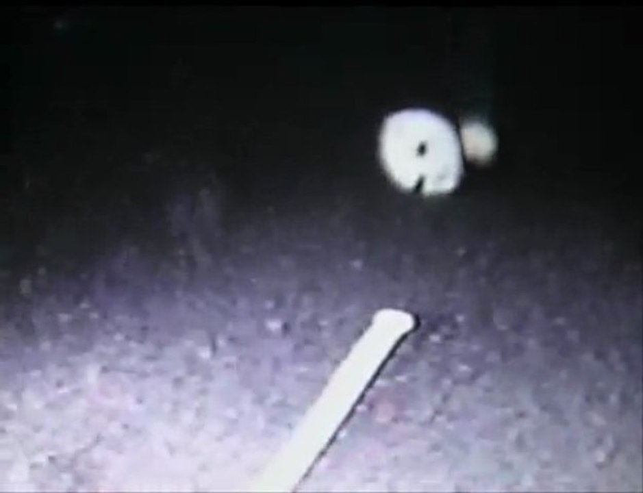 UFO secret nasa project